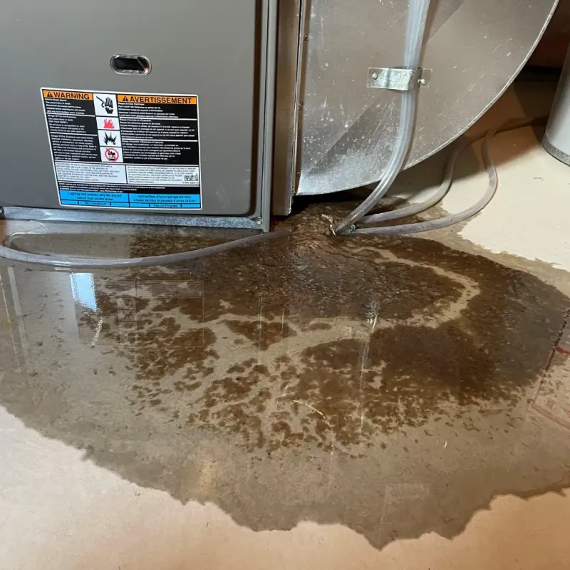 Appliance Leak Cleanup in Sidney, NE